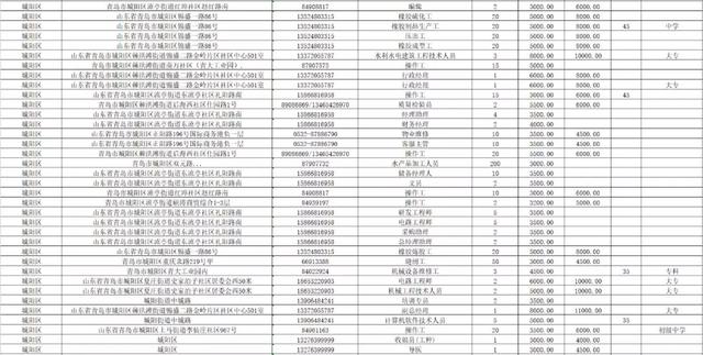 陇南市商务局最新招聘启事