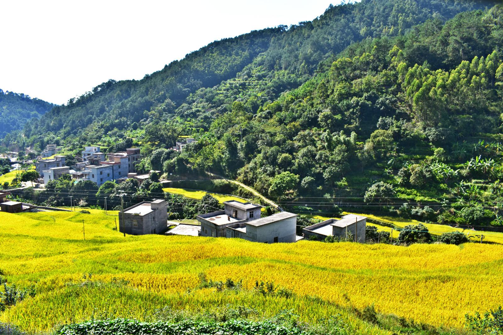 大田村交通新闻更新，交通发展助力乡村振兴