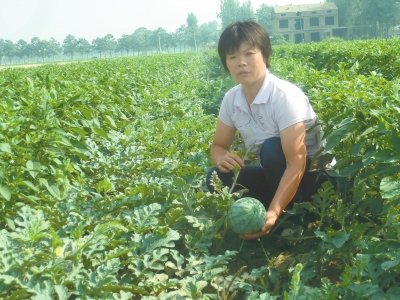 黑羊山乡新闻热点报道